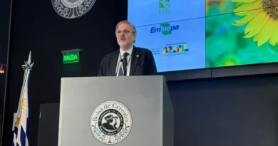 Con perspectivas de cosecha récord, el agro reclama reformas para bajar los costos portuarios Con perspectivas de cosecha récord, el agro reclama reformas para bajar los costos portuarios