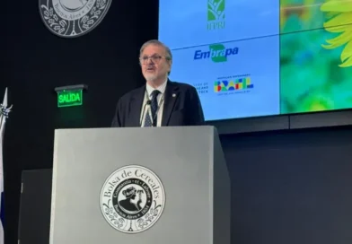 Con perspectivas de cosecha récord, el agro reclama reformas para bajar los costos portuarios Con perspectivas de cosecha récord, el agro reclama reformas para bajar los costos portuarios