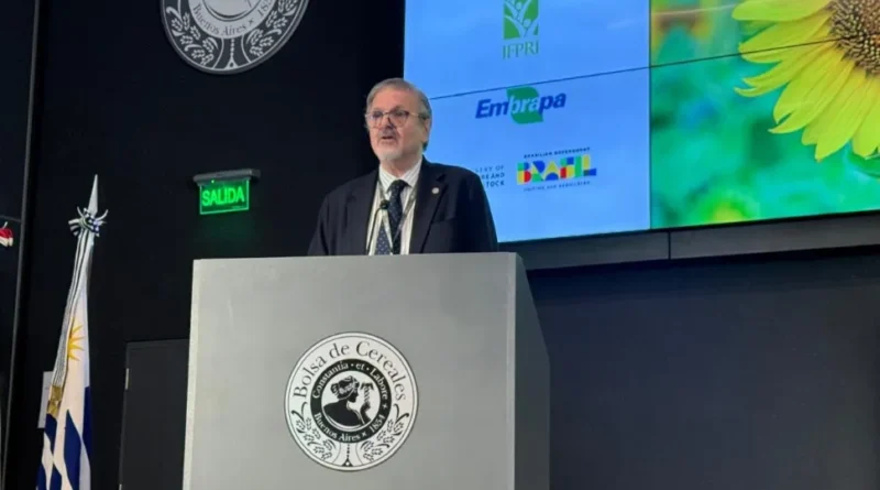 Con perspectivas de cosecha récord, el agro reclama reformas para bajar los costos portuarios Con perspectivas de cosecha récord, el agro reclama reformas para bajar los costos portuarios