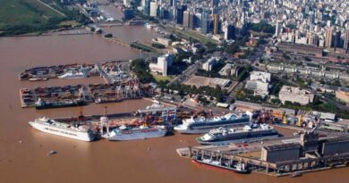 Paro en los puertos: intimaron a 536 pilotos de buques a reanudar el servicio