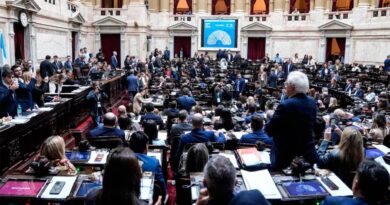 Diputados aprobó la Ley de Discapacidad con concesiones de LLA y un apoyo casi total